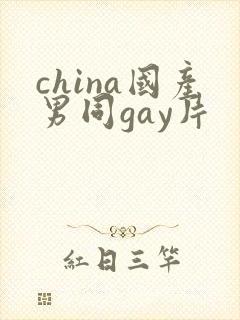 china国产男同gay片