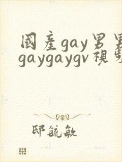 国产gay男男gaygaygv视频