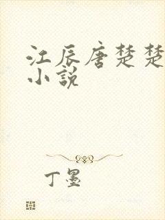 江辰唐楚楚正版小说