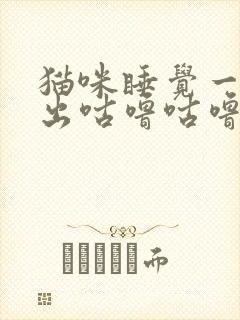 猫咪睡觉一直发出咕噜咕噜的声音封面