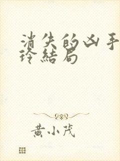 消失的凶手唐玲玲结局封面