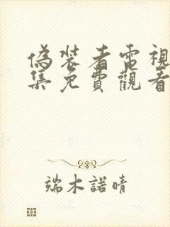 伪装者电视剧全集免费观看高清封面