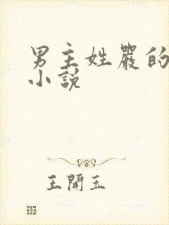 男主姓严的总裁小说封面