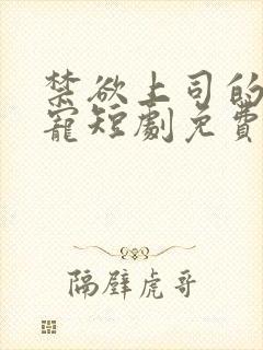 禁欲上司的心尖宠短剧免费观看全集