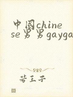 中国chinese男男gaygayvideo
