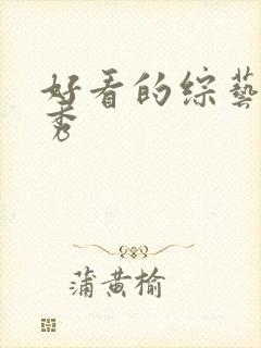 好看的综艺真人秀