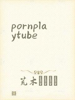 pornplaytube