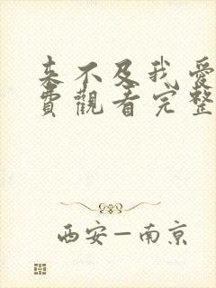 来不及我爱你免费观看完整版电视剧封面