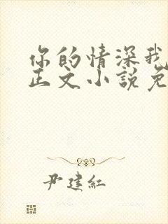 你的情深我不配正文小说免费阅读封面