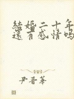 结婚二十年夫妻还有感情吗封面