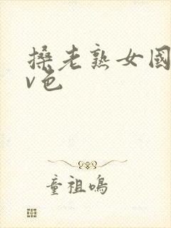 搡老熟女国产av色封面