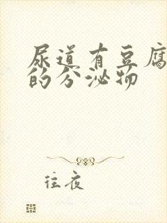 尿道有豆腐渣似的分泌物