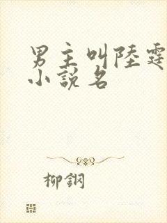 男主叫陆霆琛的小说名