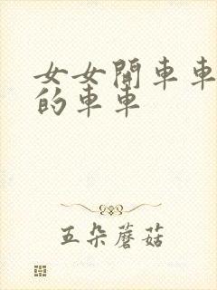 女女开车车好快的车车封面