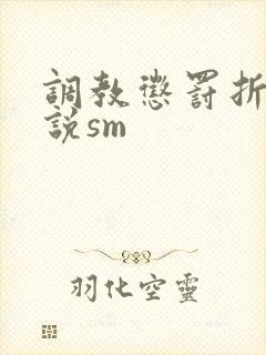 调教惩罚折磨小说sm封面