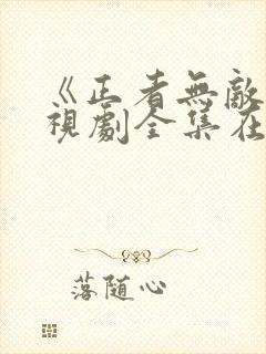 《正者无敌》电视剧全集在线观看