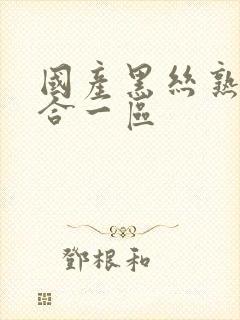 国产黑丝熟女综合一区