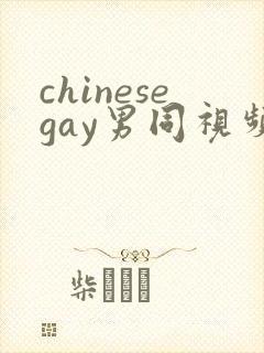 chinesegay男同视频网站