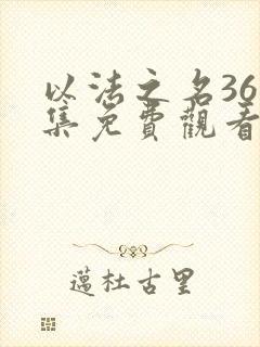 以法之名36全集免费观看