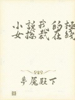 小说我的极品美女总裁在线封面