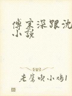 傅寒深跟沈妍的小说封面