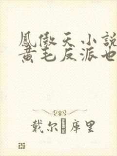 凤傲天小说里的黄毛反派也想要幸福笔趣阁