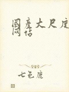 国产大尺度床戏网站