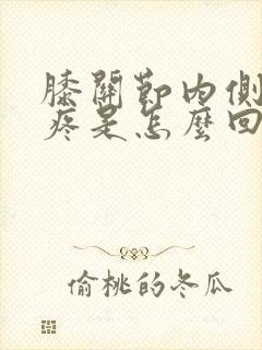 膝关节内侧腿弯疼是怎么回事