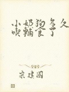 小奶狗多久可以吃辅食了封面