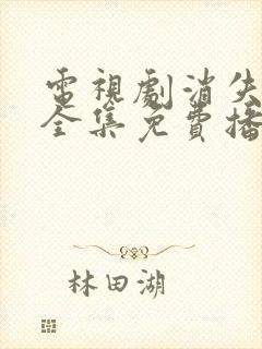 电视剧消失的她全集免费播放