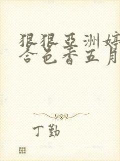 狠狠亚洲婷婷综合色香五月加勒比