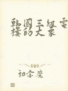 韩国三级电影顶楼的大象