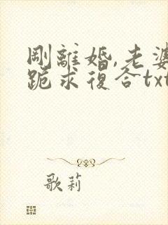 刚离婚,老婆就跪求复合txt免费下载