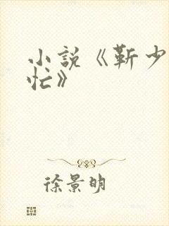 小说《靳少追妻忙》