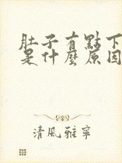 肚子有点下坠疼是什么原因封面