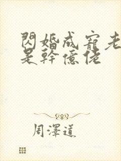 闪婚成宠老公竟是干亿佬