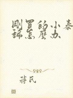 刚买的小泰迪拉稀怎么办封面