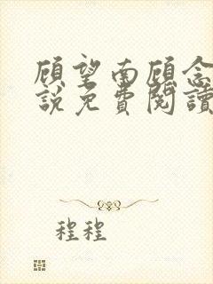 顾望南顾念北小说免费阅读最新章节