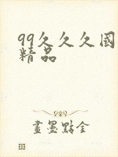 99久久久国产精品封面