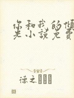 你和我的倾城时光小说免费阅读全文封面