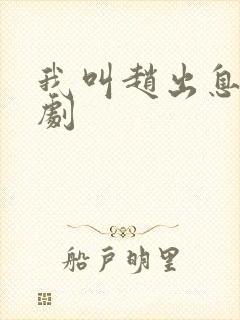 我叫赵出息电视剧