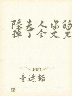 陆夫人你的马甲掉了全文免费阅读封面