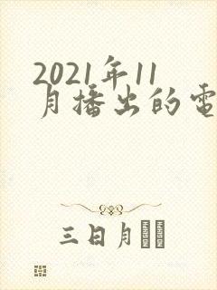 2021年11月播出的电视剧封面