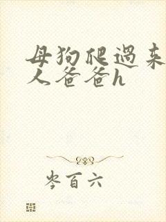 母狗爬过来叫主人爸爸h封面