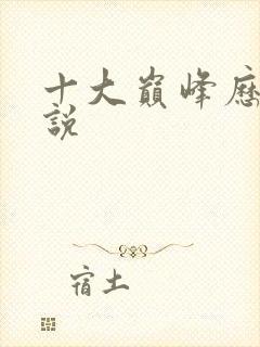 十大巅峰历史小说