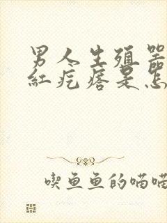 男人生殖器起小红疙瘩是怎么回事