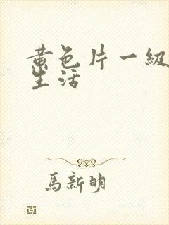 黄色片一级夫妻生活封面