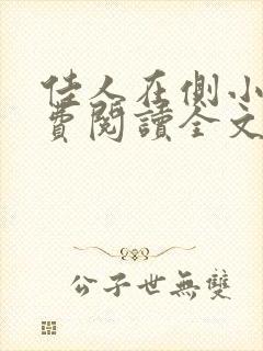 佳人在侧小说免费阅读全文无弹窗