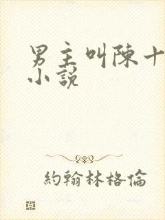 男主叫陈十三的小说