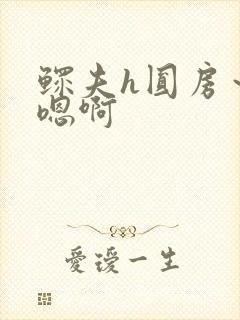 鳏夫h圆房～h嗯啊封面